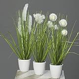 mucplants Kunstpflanze Gras im weißen Topf 3 Stück Höhe 38cm Grün/Creme Kunstgras Ziergras Tischdek