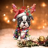 Swavecat Boston Terrier Ornament, flach, bedruckt, 2D-Acryl, Ornament, Boston-Terrier, Hundelaternen, Weihnachtsgeweih, Weihnachtsbaumschmuck, 2-seitiger Druck, Acryl-Ornamente, hängende Anhänger,