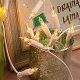 hellum Lichterkette innen strombetrieben, mini Lichterkette 10er Birnen klare warme Lichter, beleuchtete 1,35m, Kabel weiß 10 Lichter mit Stecker für Weihnachten 831184