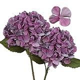 2 STK Hortensien Kunstblumen Violett, Ø 19cm Künstliche Blumen Wie Echt für Brauthochzeitssträuße, Haus, Büro, Hotel, Partydekoration, Mittelstücke, Blumenarrang