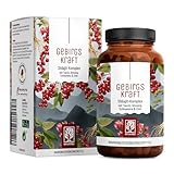 NATURTREU® Mumijo Shilajit Kapseln hochdosiert 1000mg pro Tagesdosis, schwarzes Gold Shilajit aus dem Himalaya mit Ginseng und Schisandra, vegan & laborgeprü