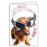 AFIE Humorvolle Geburtstagskarte mit Umschlag illustriert, Format 17,5 x 12 cm, lustiger Hund, lustig, verkleidet mit Brille, Schmetterling, für Party, französische Herstellung 69-6207
