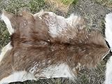 Provellus ECHTE ZIEGENFELLE ZIEGENFELL Fell STARK BESCHÄDIGT GROßE Auswahl SCHNÄPPCHEN (hell, 30-50 cm)