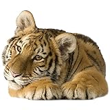GRAZDesign Wandtattoo Tiger liegend | Wandaufkleber Afrika | Wandsticker Deko Aufkleber 3d - 48x40