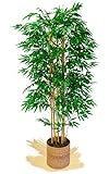 Maia Shop Bambusbaum mit Natürlichem Schilf, ideal für die Innendekoration, Baum, Künstliche Pflanze (180 cm)