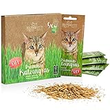 PRETTY KITTY Premium Katzengras Saatmischung: 5 Beutel je 25g Katzengras Samen für 50 Töpfe fertiges Katzengras – Eine grüne Katzen Wiese – Natürliche Katzen Leckerlies – Pflanzen Samen - G