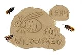 Lehmpulver zum Schließen & Einkleben von Niströhren /zum Basteln & Bauen /Baumaterial für Wildbienen (2000), B