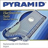Pyramid Zither-Saiten Satz Münchner Stimmung 42-saitig 612/42