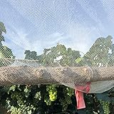 Weinbergnetz, Weißes Garten-Nylonnetz, Strapazierfähig, Faltbar, Extra Großes Vogelnetz Für Blaubeersträucher/Obstbäume/Gebäude (10 X 5 Meter)