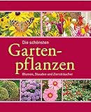 Die schönsten Gartenpflanzen: Blumen, Stauden und Ziersträucher (Gartenpraxis und -gestaltung)