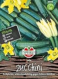 83598 Sperli Premium Zucchini Samen Leila | Zucchini Saatgut | Zuchini Samen | Samen Zucchini | Lange Ernte | Zuchini Saatgut | F1