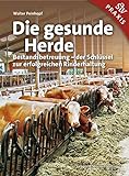 Die gesunde Herde: Bestandsbetreuung – der Schlüssel zur erfolgreichen Rinderhaltung