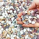 1.5KG Naturkies Polierter Dekosteine Kieselsteine,Farbsteine Kleiner Dekorativer Kies, Kieselsteine Deko Gemischter Flusskies für Vasenfüller, Pflanztöpfe, Aquarien, & Garten (1.5kg 6-9mm)