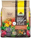Neudorff NeudoHum Zitrus & MediterranpflanzenErde für gesunde und leckere Früchte wie z.B. Palmen, Oleander, Zitronen, Engelstrompete und Co., 20 L