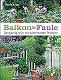 Balkon für Faule: Ganzjährig grün mit winterharten Pflanzen - pflegeleicht und dauerhaft pflanzen und genieß