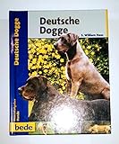 Deutsche Dogge, Praxisratgeb