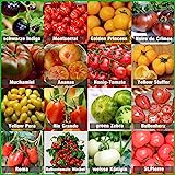 Prademir – Tomatensamen Set aus 16 seltenen & alten Sorten – Tomaten Anzuchtset mit 100% Natursamen handverlesen aus Portugal – Tomatensaat mit hoher Keimrate für Garten, Balkon, Terrasse, Gew