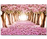Paul Sinus Art Leinwandbilder | Bilder Leinwand 120x80cm Allee aus rosa Blü