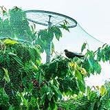 PanHuiWen Vogelschutznetz Engmaschig Balkon Gartennetz FüR Pflanzen Freilaufgehege HüHner Maschenweite 1.5x1.5cm für Bauernhöfe Weinbau und Obstgarten,10x10