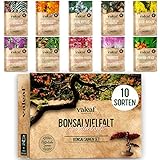 10 Bonsai Samen aus 5 Kontinenten I Exotische Baum Samen für deinen einzigartigen Bonsai Baum I Bonsai Starter Kit für Anfänger und Pflanzen Verrückte I Unser Bonsai Set als besondere Geschenk