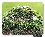 Gaming Mauspad, Mast Stein Moos Pfosten Zaun Grün Garten Natur rutschfest Mauspads Weich Mousepad Für Büro Computer Büro 25X30C
