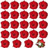 24 Stück Rote Rose Blume Haarspange Kleine Blume Brosche Elegante Blume Clips für Haar Blumen Broschen für Frauen Mädchen Rose Rot Haarschmuck Boho B